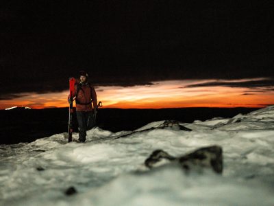 Falke - Levi-177 Low