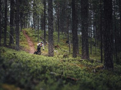 Maastopyöräilijä_metsässä_Web Low